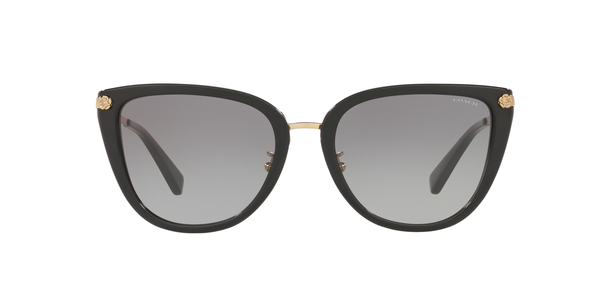 Coach 0HC8276 Sunglasses in Black Target Optical