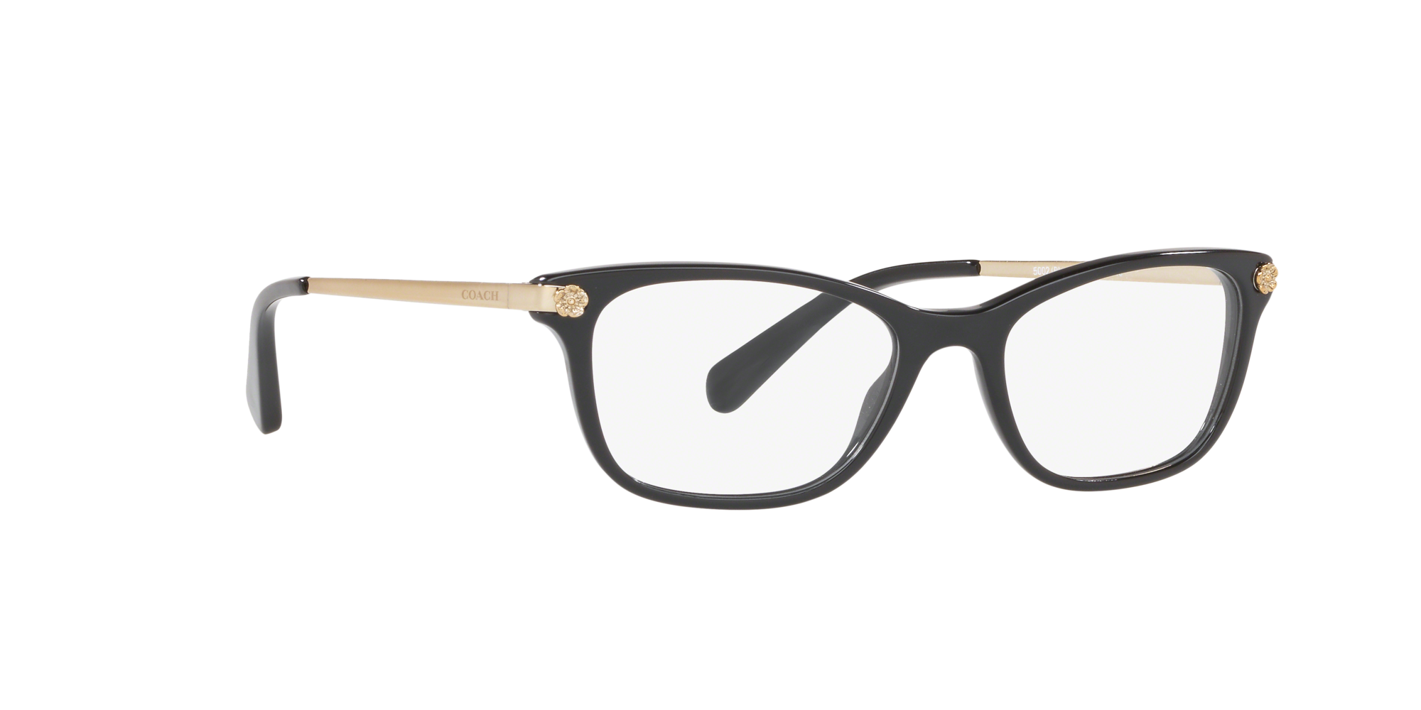 coach 6142 eyeglasses