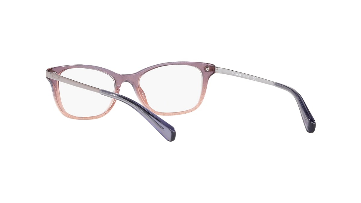 Coach best sale eyeglasses hc6142