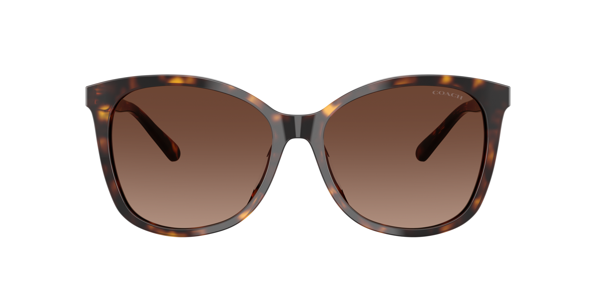 Coach 0HC8271U Sunglasses in Tortoise | Target Optical display picture 2