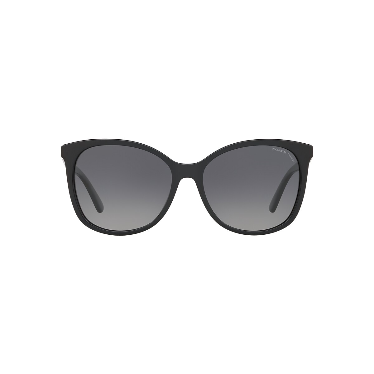 美品・付属品完備】 COACH HC 8212 サングラス Black