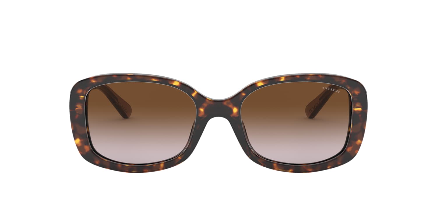 【送料,関税込】 COACH サングラス L1114  HC8278 Coach HC8278 - L1114 Sunglasses | Select Eyewear