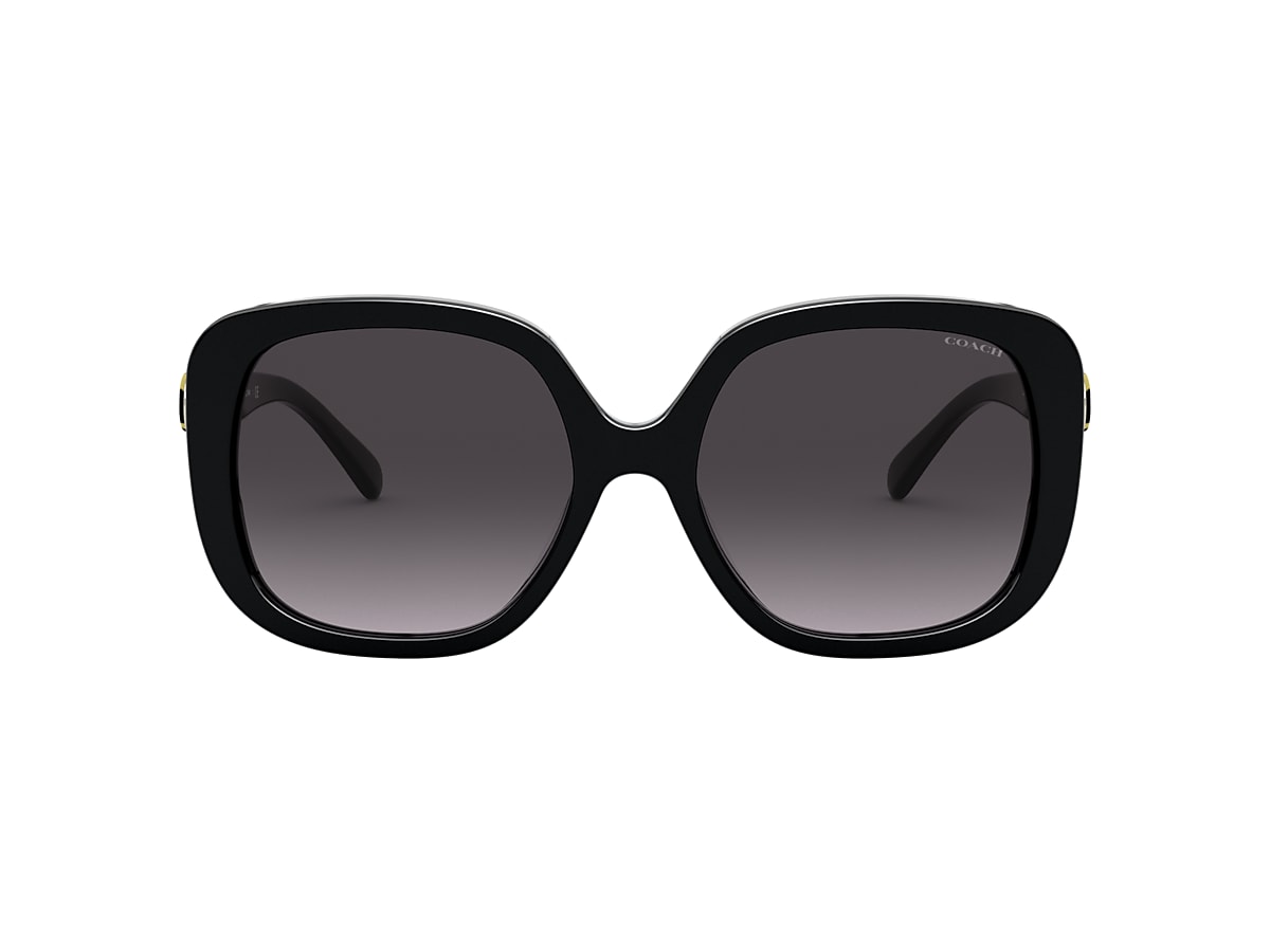 Coach 0HC8292 Sunglasses in Black | Target Optical