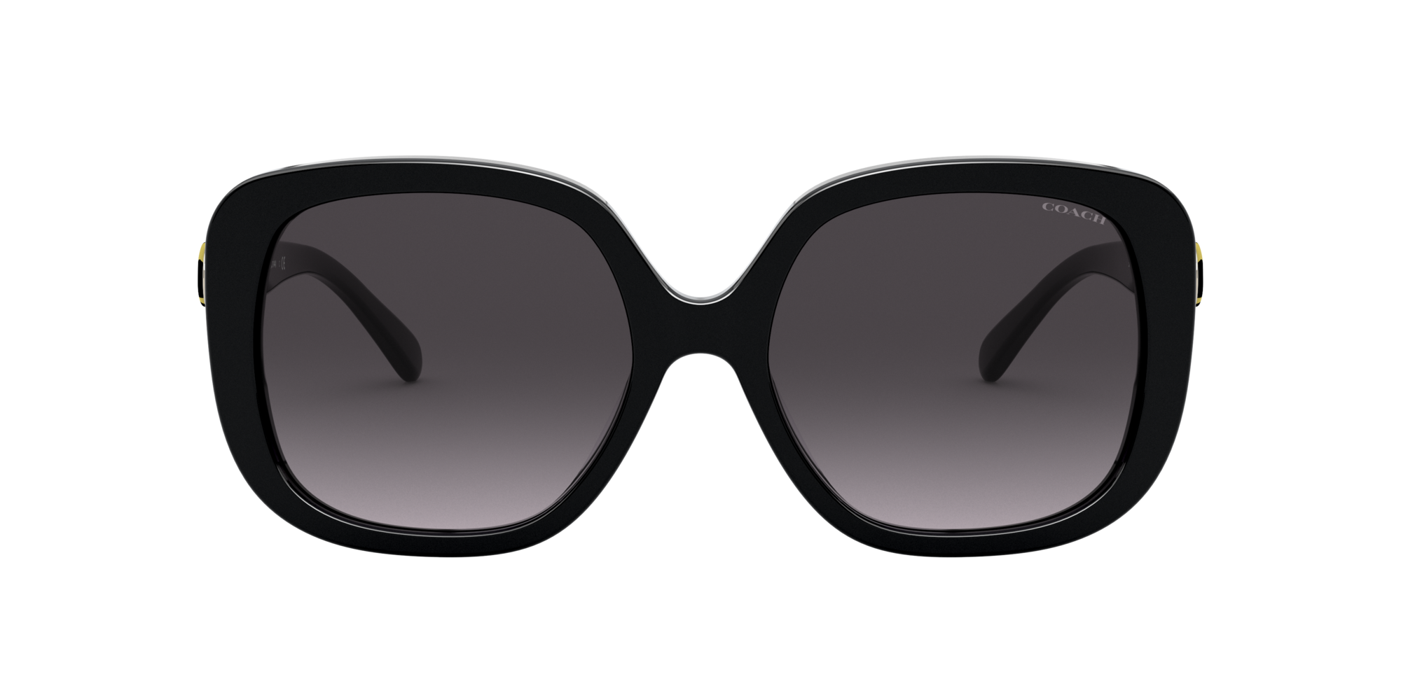 Coach 0HC8292 Sunglasses in Black | Target Optical