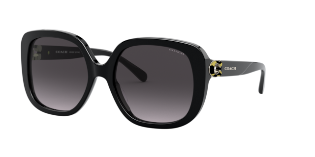 Coach 0HC8335U Sunglasses in Brown | Target Optical Coach 0HC8335U Sunglasses in Brown | Target Optical