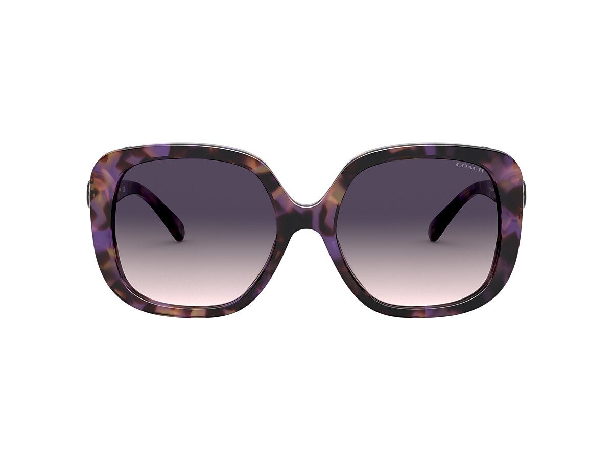 Purple coach glasses online