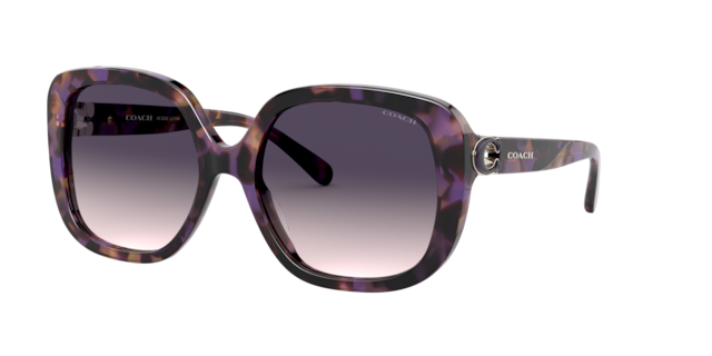coach sunglasses target
