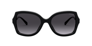 Coach 0HC8295 Sunglasses in Black | Target Optical