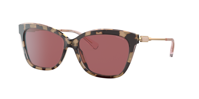 coach sunglasses target