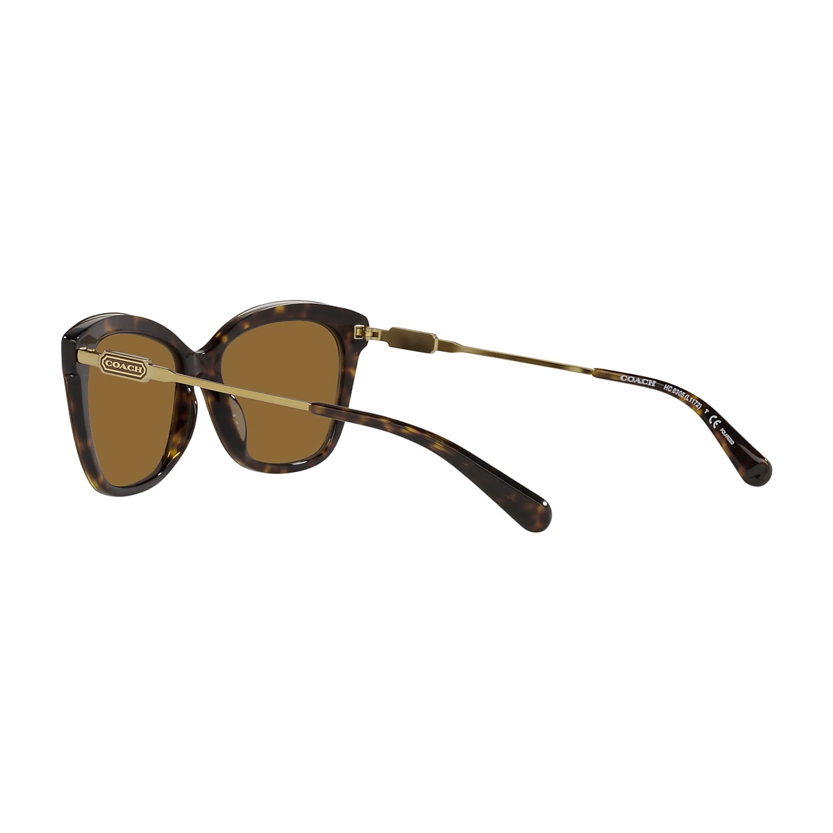 Coach daniella hotsell polarized sunglasses