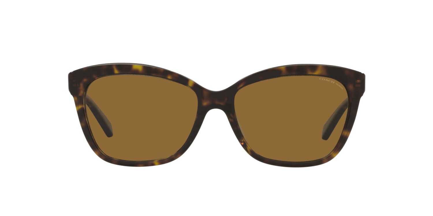 Coach 0HC8305 Sunglasses in Tortoise | Target Optical