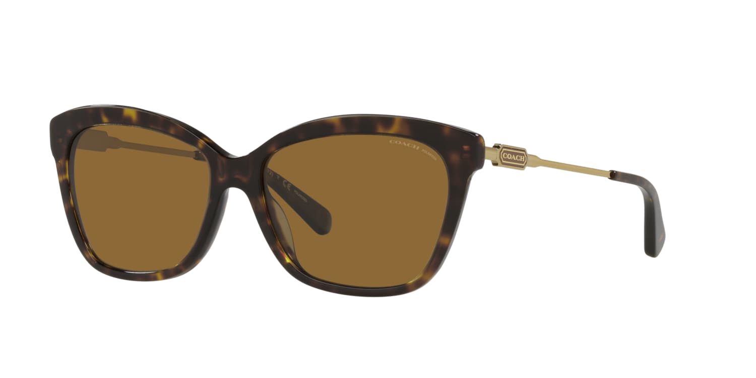Coach 0HC8305 Sunglasses in Tortoise | Target Optical