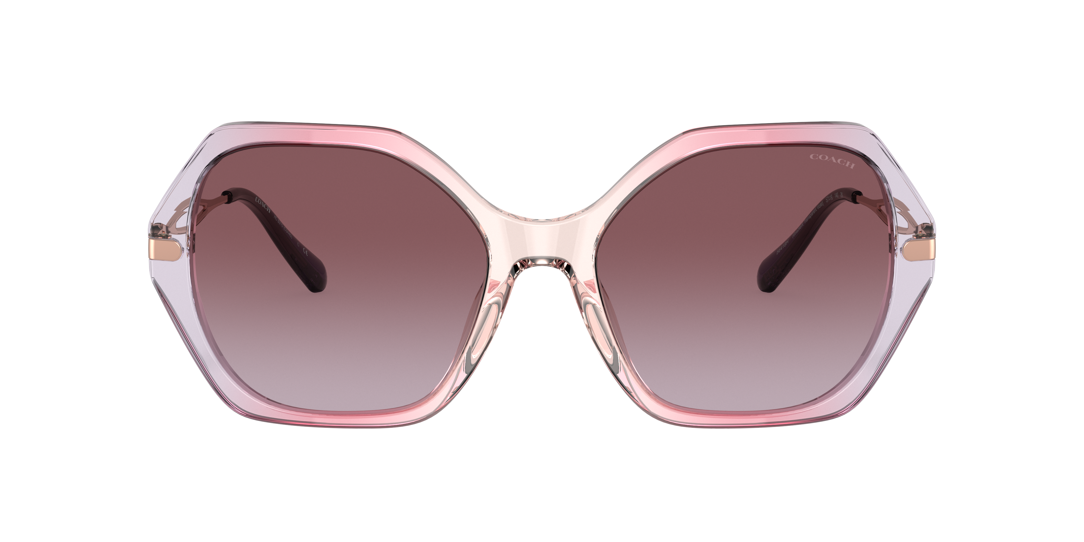 Coach 0HC8315 Sunglasses in Pink/purple | Target Optical