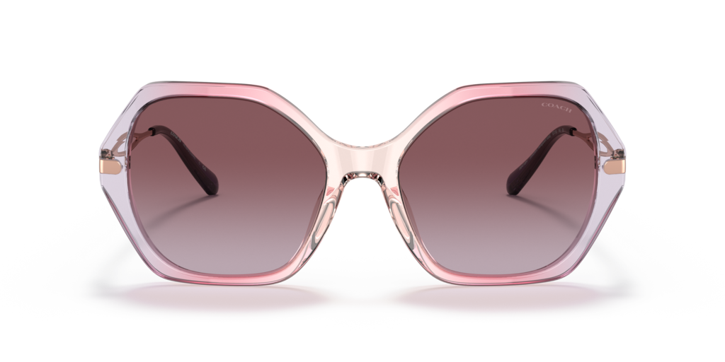 UPC 725125368933 product image for Coach Eyewear > Sunglasses > Women > Sunglasses_women > Holiday Trendy > Transpa | upcitemdb.com