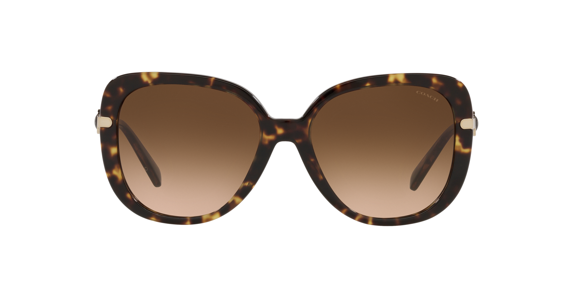 Coach Caramel Tortoise Sunglasses | Glasses.com® | Free Shipping