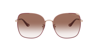 サングラス CARINCARINCARIN Sally C3 CELLY C3 Coach 0HC7133 Sunglasses in Gold | Target Optical