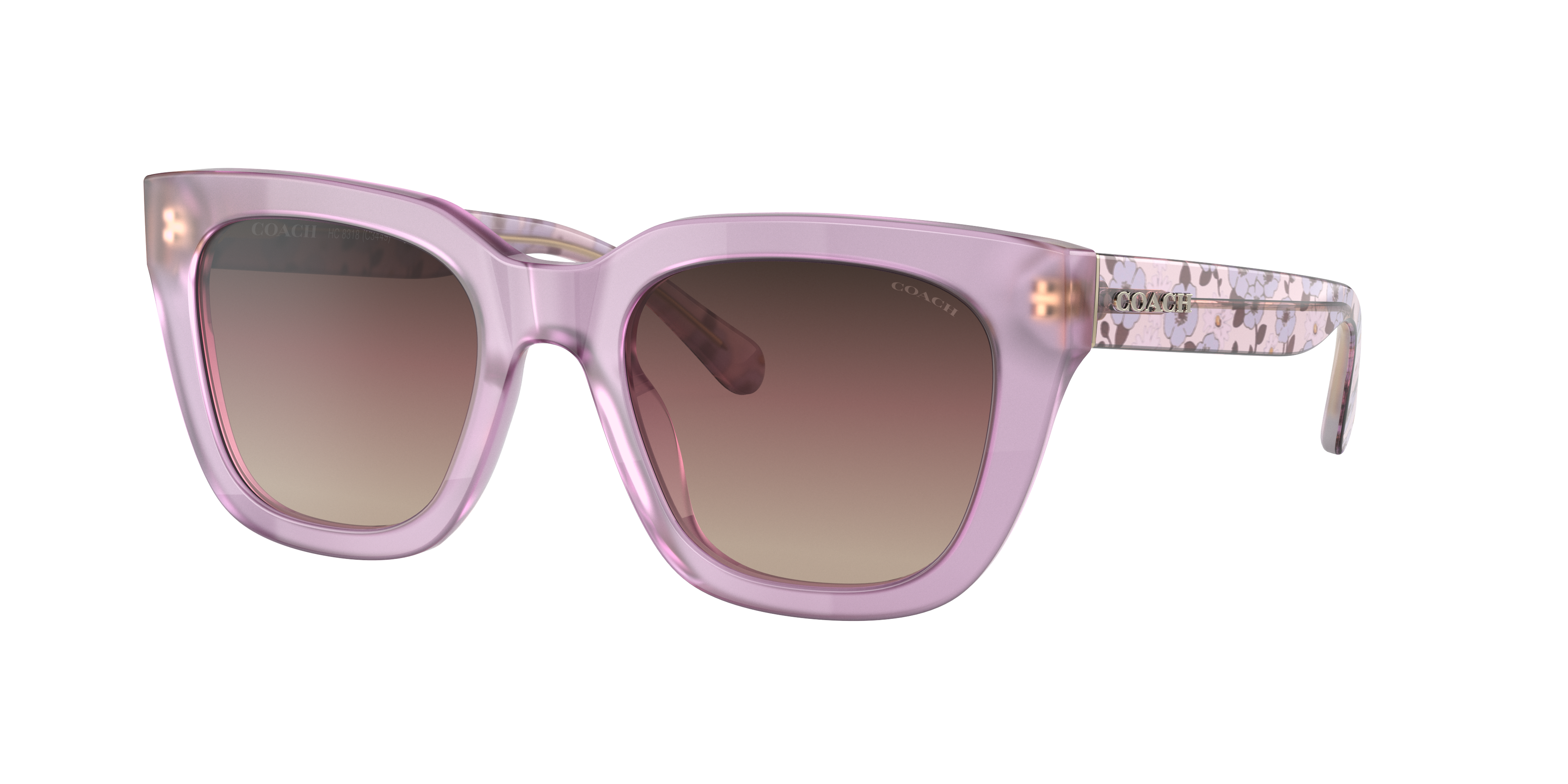 coach sunglasses 2014