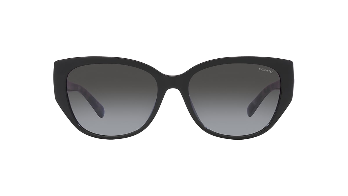 Coach 0HC8362U Sunglasses in Black | Target Optical 
