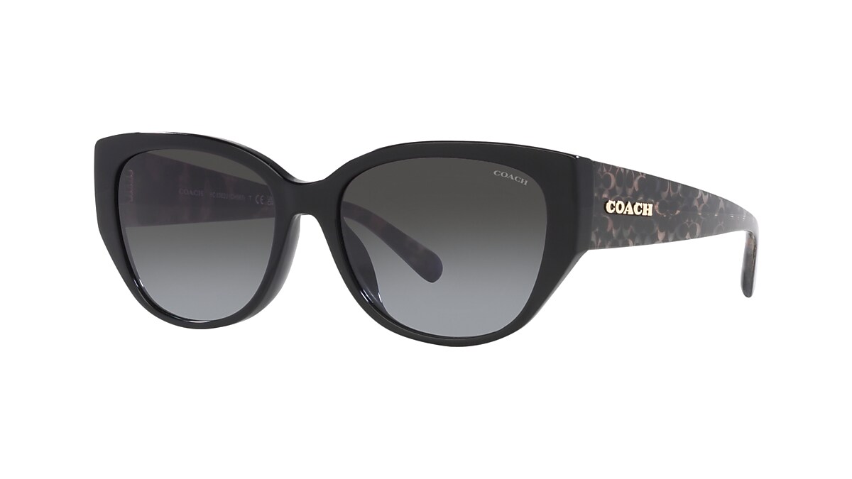 Coach 0HC8362U Sunglasses in Black | Target Optical
