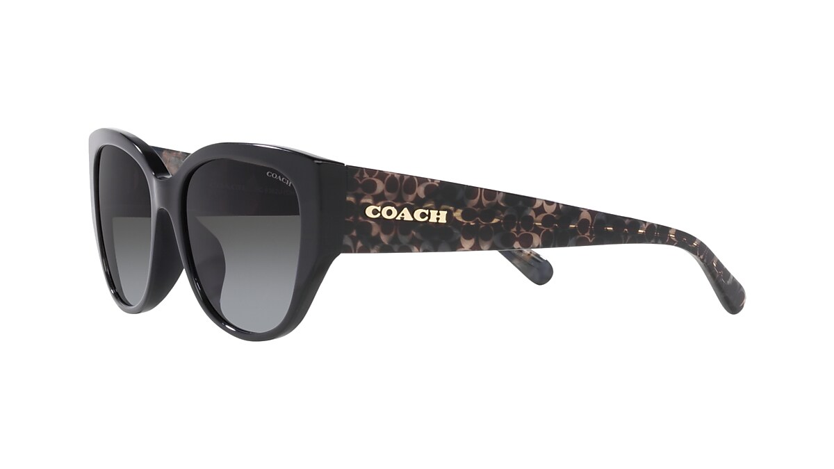 Coach 0HC8362U Sunglasses in Black | Target Optical