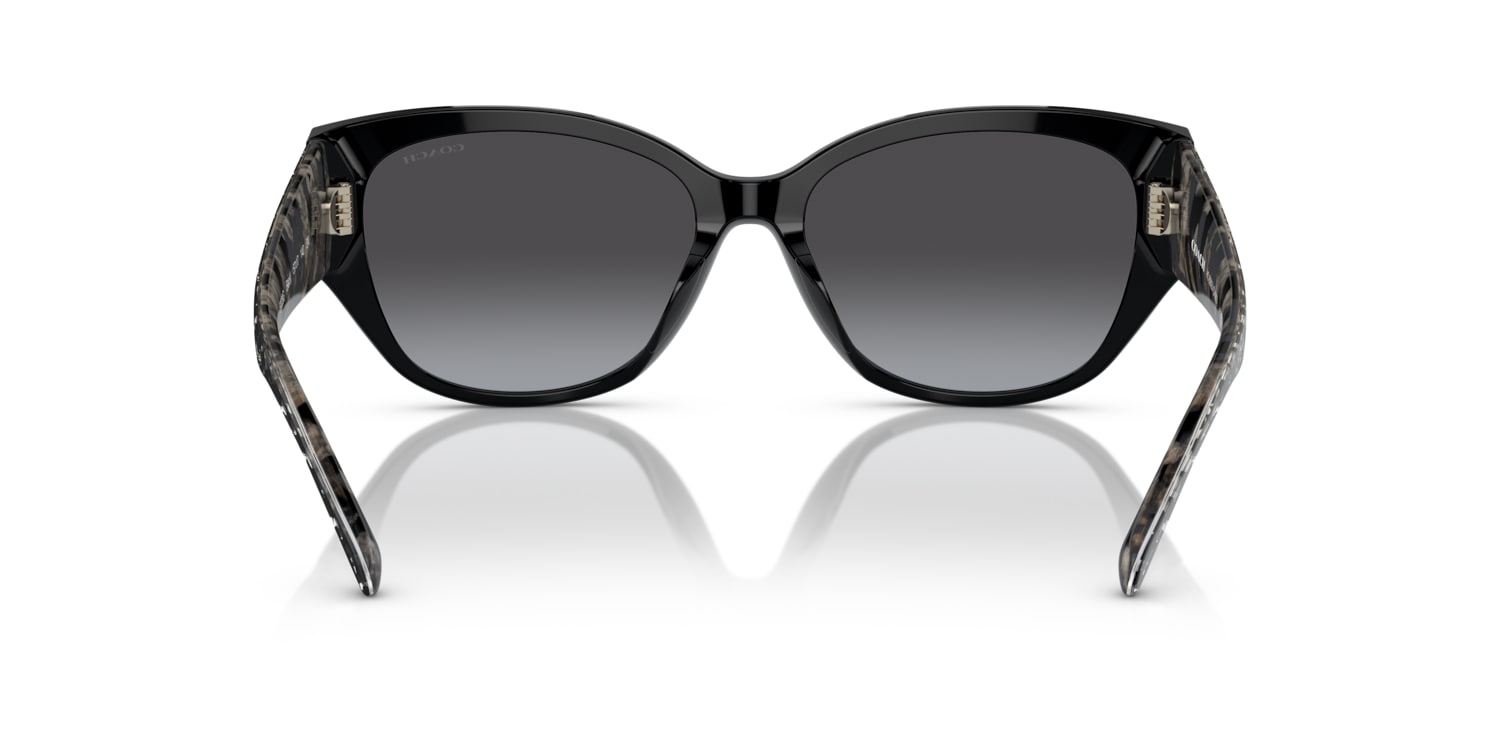 Coach 0HC8362U Sunglasses in Black | Target Optical 