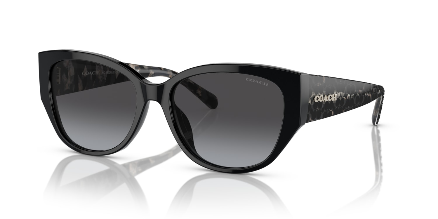 Coach 0HC8362U Sunglasses in Black | Target Optical 