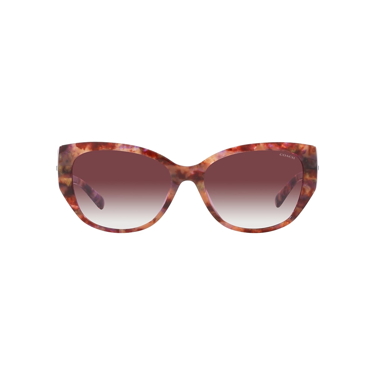 COACH サングラス HC8362U CH563 725125392952_shad_qt.png?