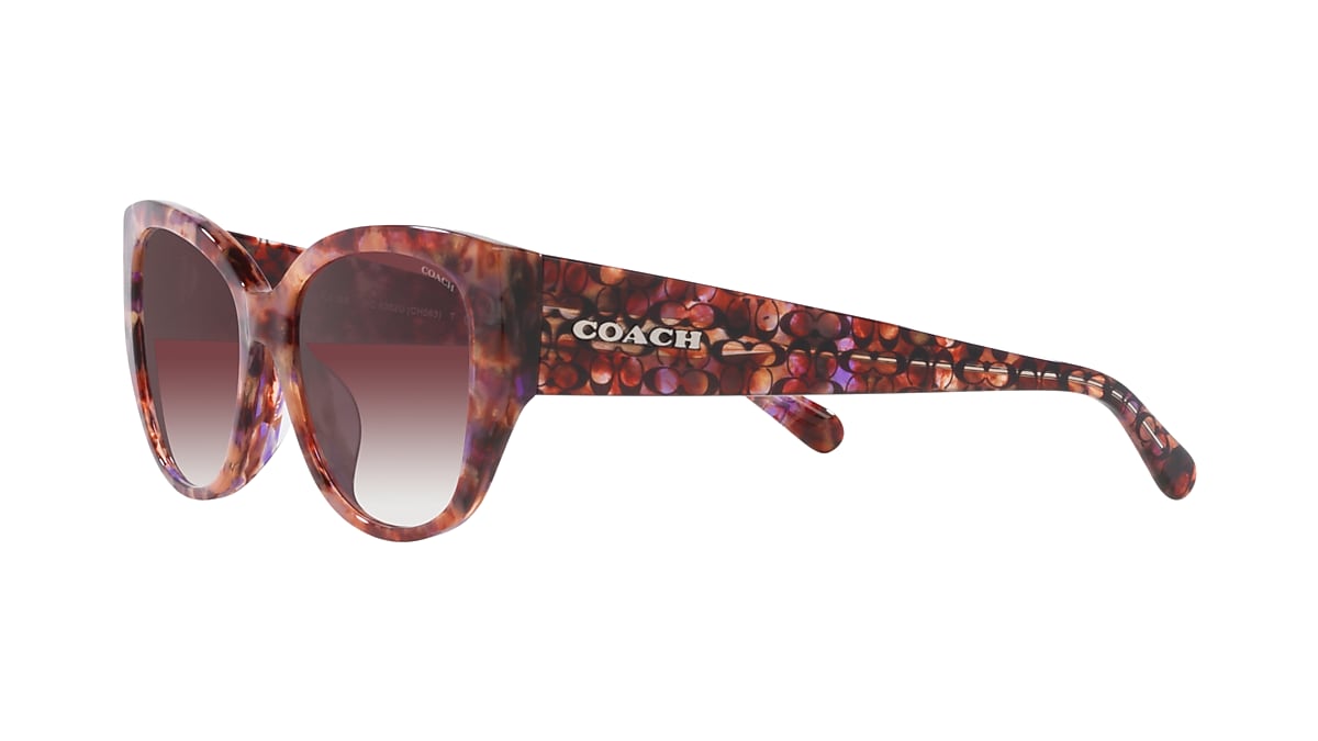 COACH サングラス HC8362U CH563 725125392952_shad_qt.png?