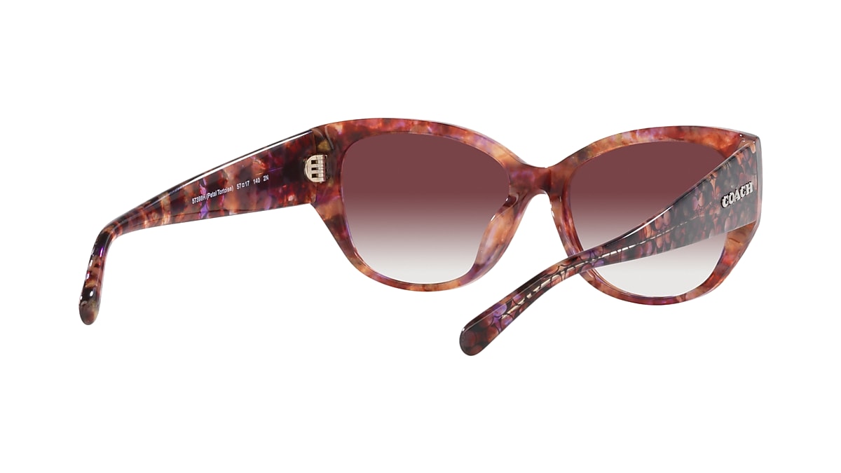 Coach on sale tortoise sunglasses