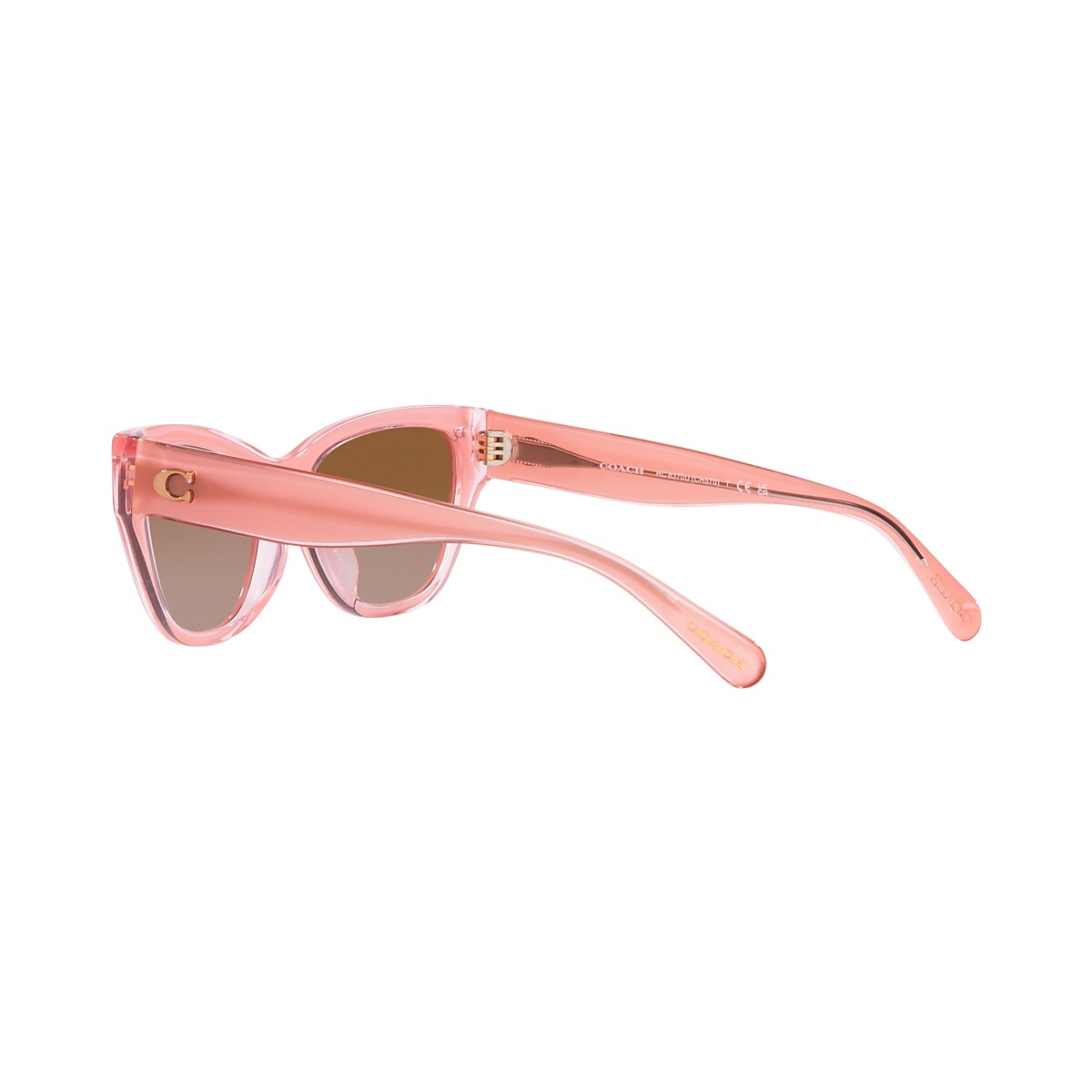 Coach discount sunglasses 2018