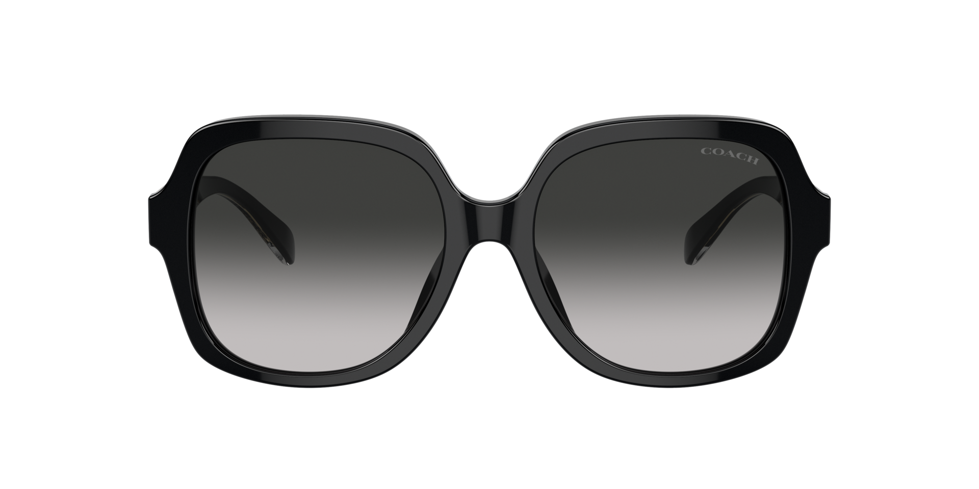 Coach Coach Sunglasses in Black | Target Optical