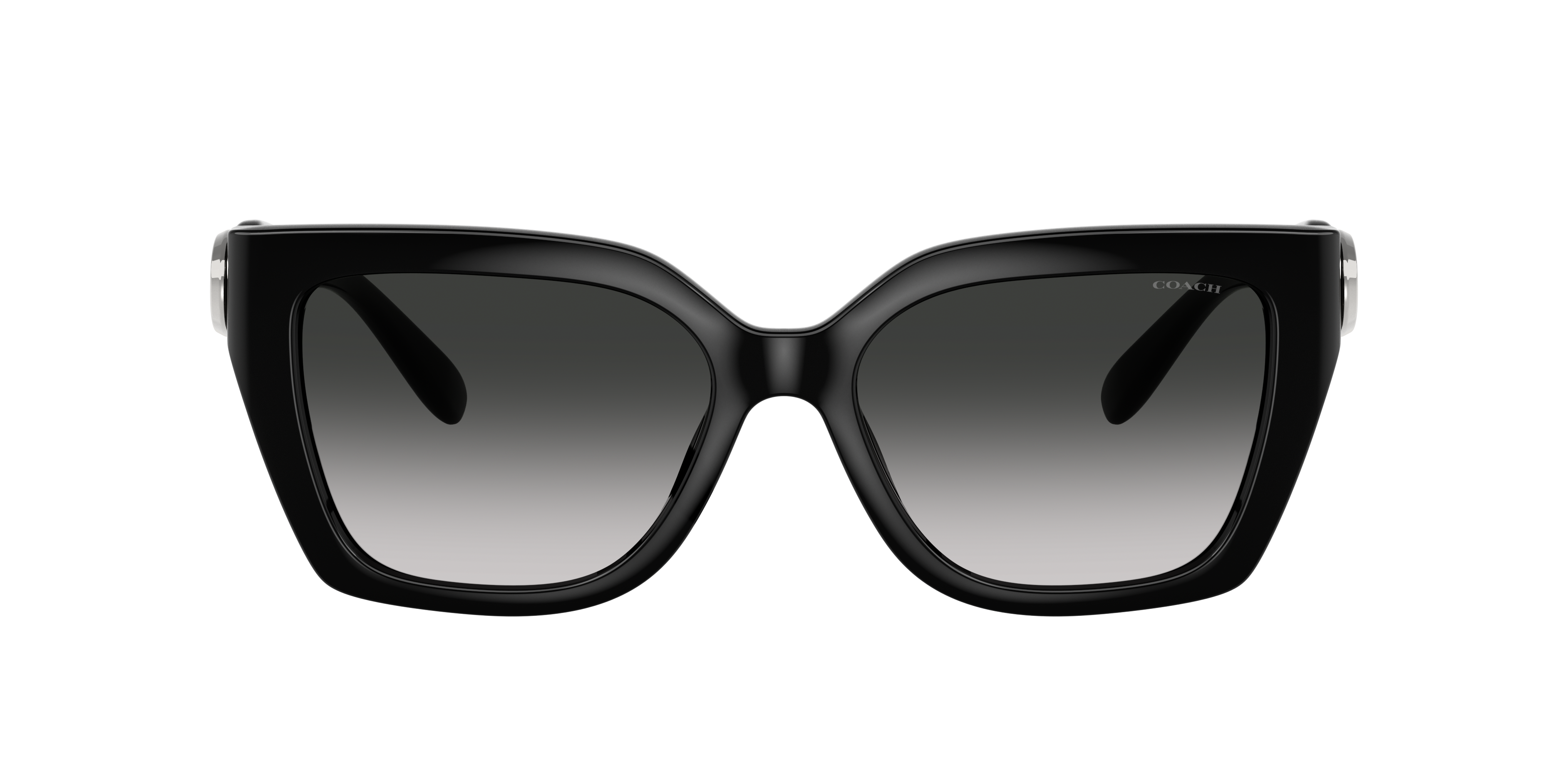 Coach Coach Sunglasses in Black | Target Optical