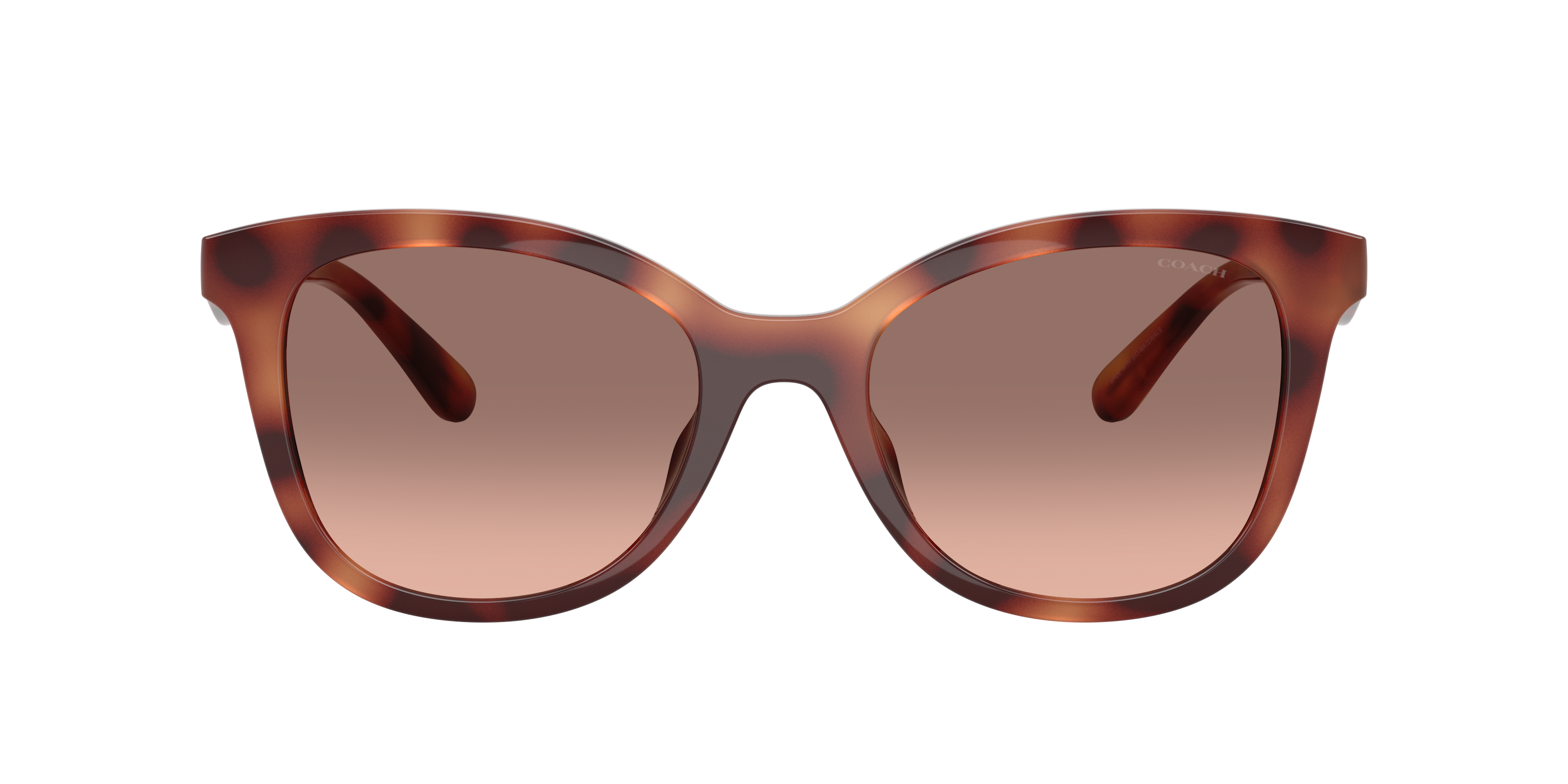 Coach HC8419U 577413 55-20 Sunglasses in Tortoise | Target Optical
