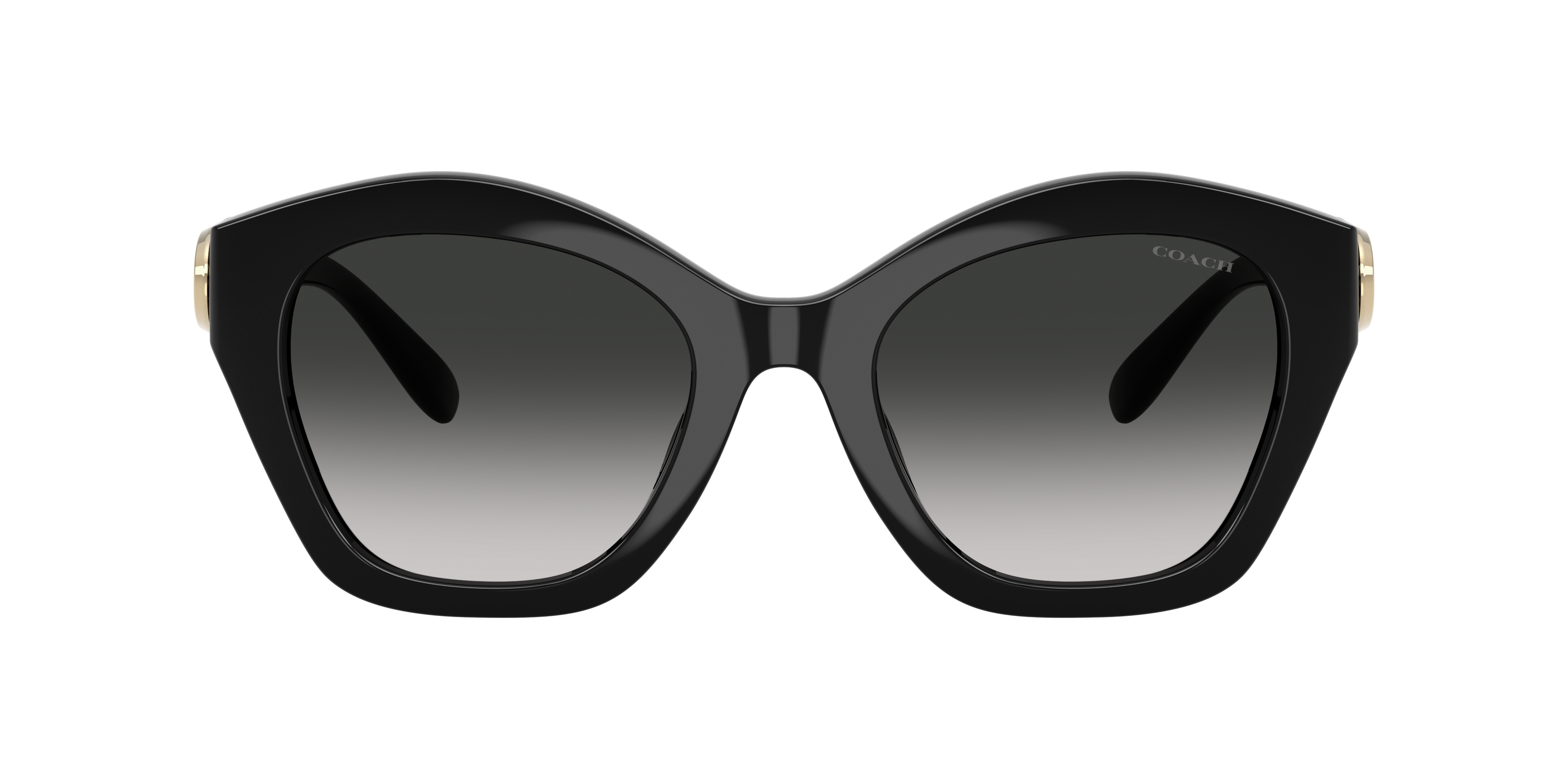 Coach Coach Sunglasses in Black | Target Optical