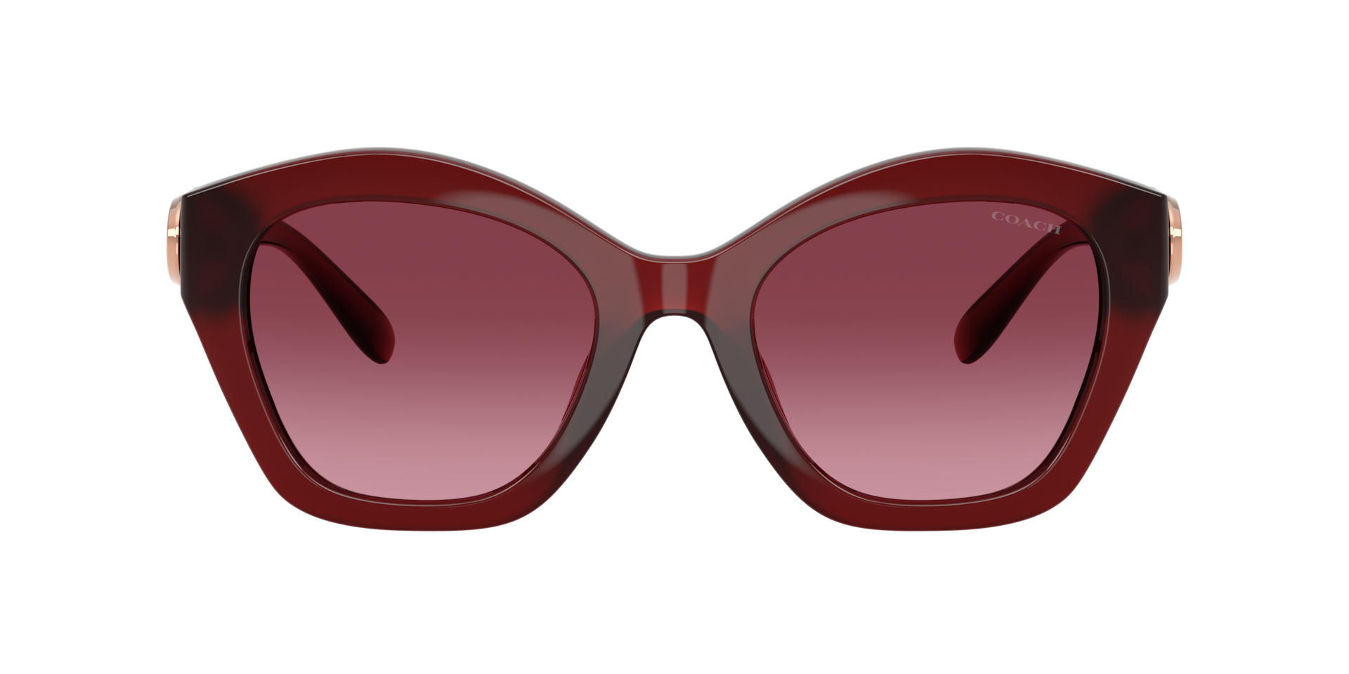 Coach Coach Sunglasses in Red/Burgundy | Target Optical display picture 2