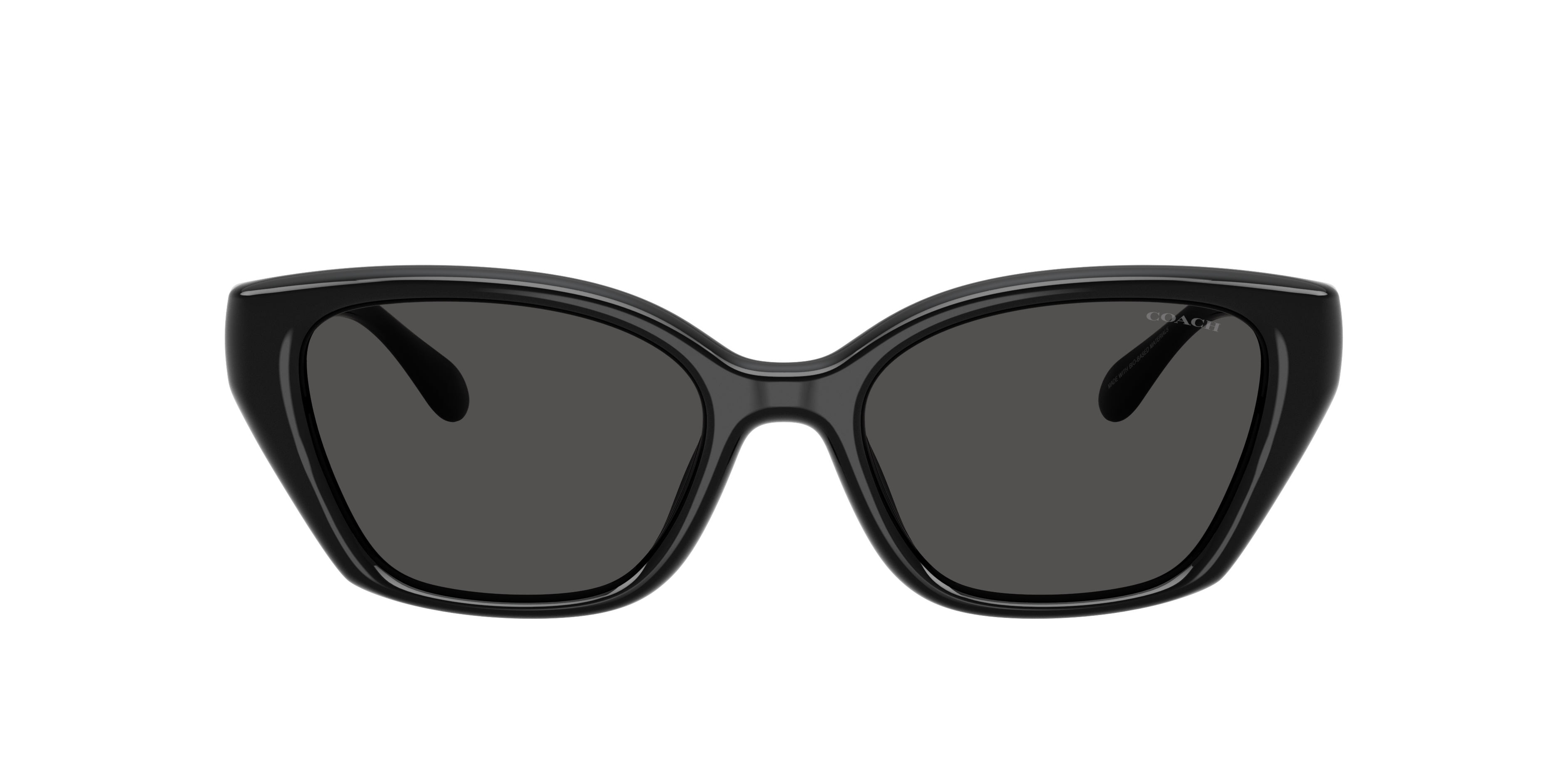 Coach Coach Sunglasses in Black | Target Optical