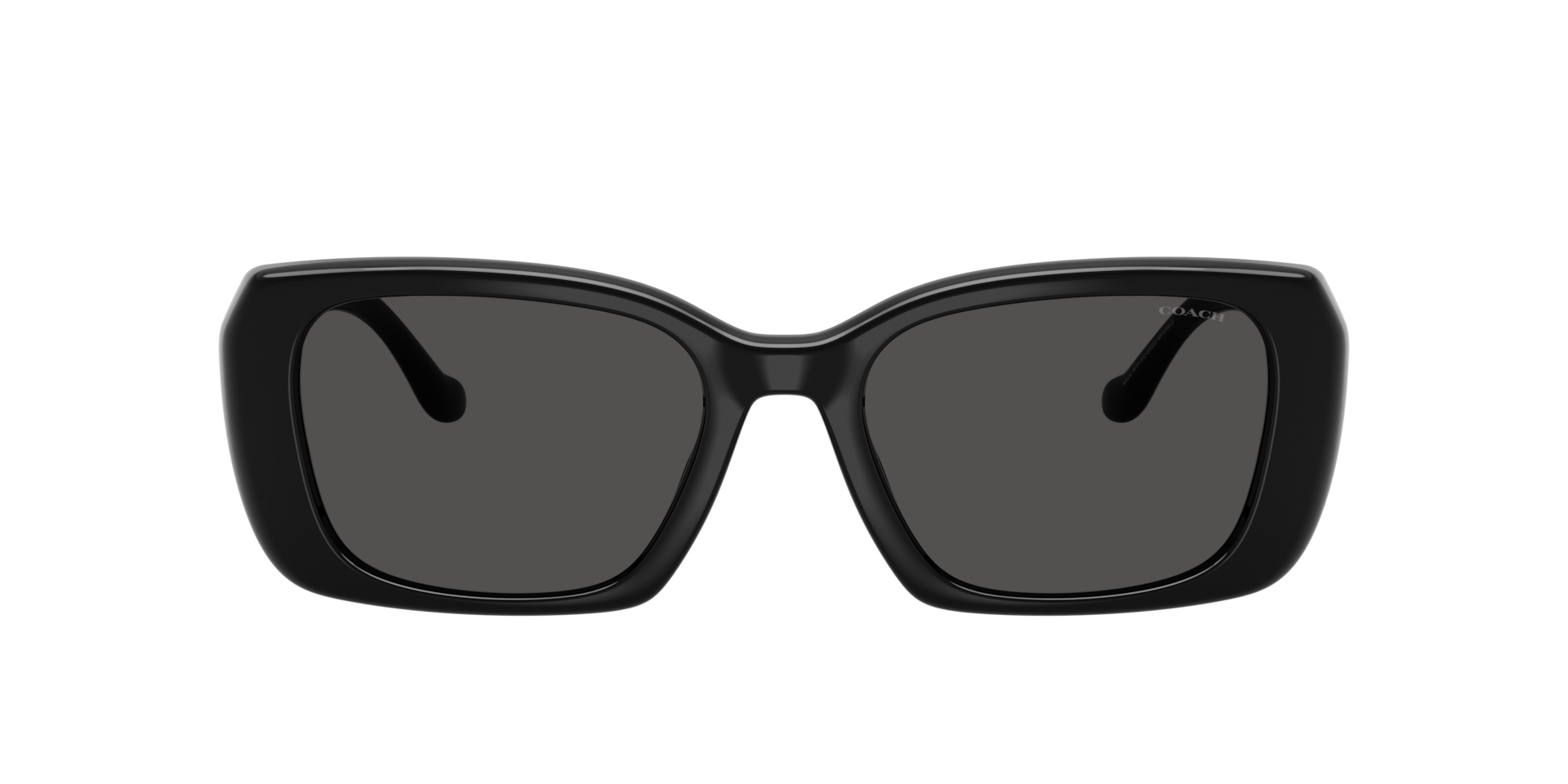 Coach 0HC8435U Sunglasses in Black | Target Optical