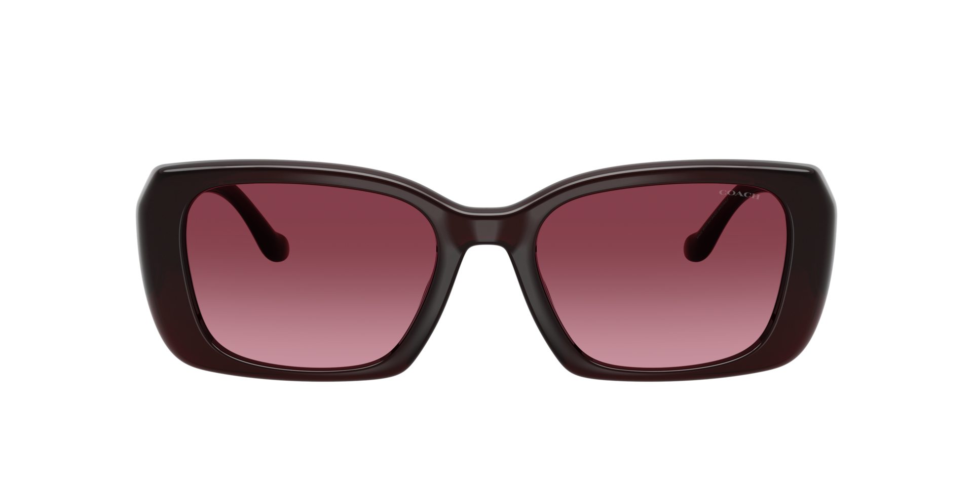 Coach sunglasses black with pink on the inside Coach 0HC8292 Sunglasses in Pink/Purple | Target Optical main image 4