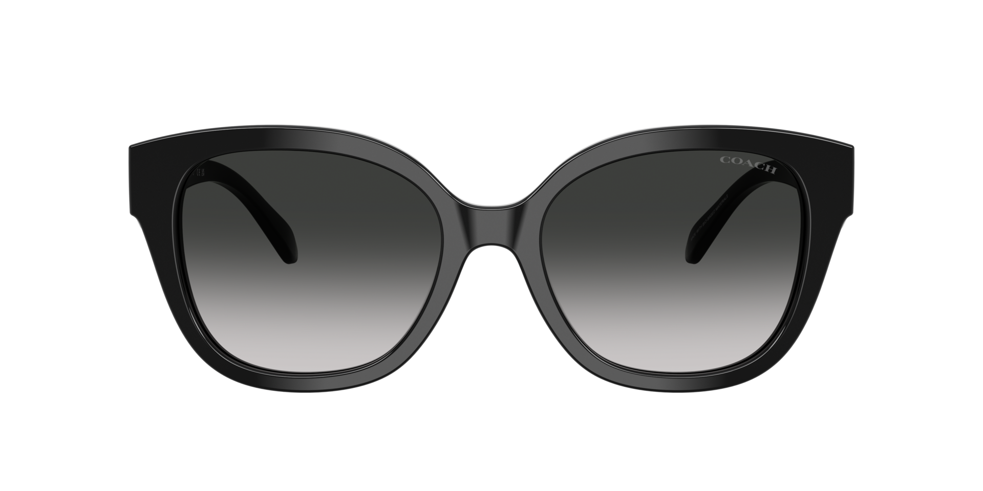 Coach 0HC8438U Sunglasses in Black | Target Optical