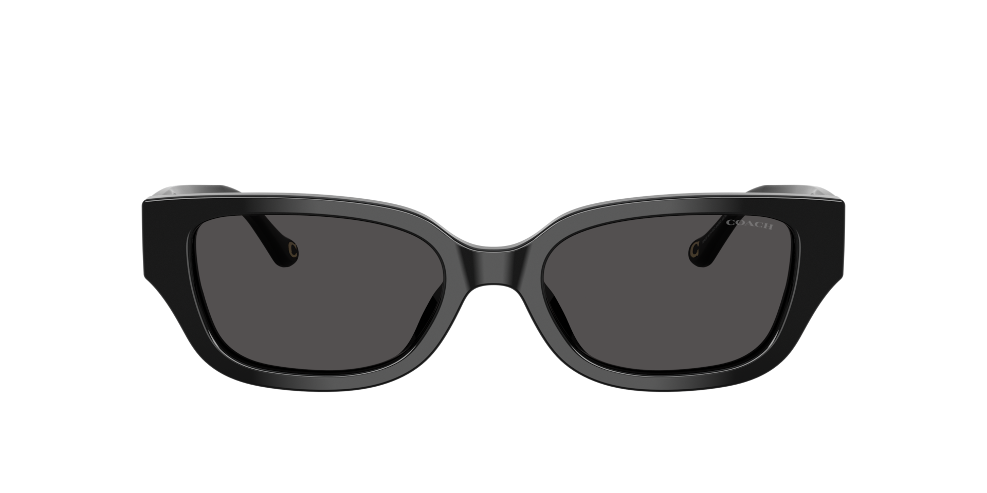 Coach 0HC8439U Sunglasses in Black | Target Optical