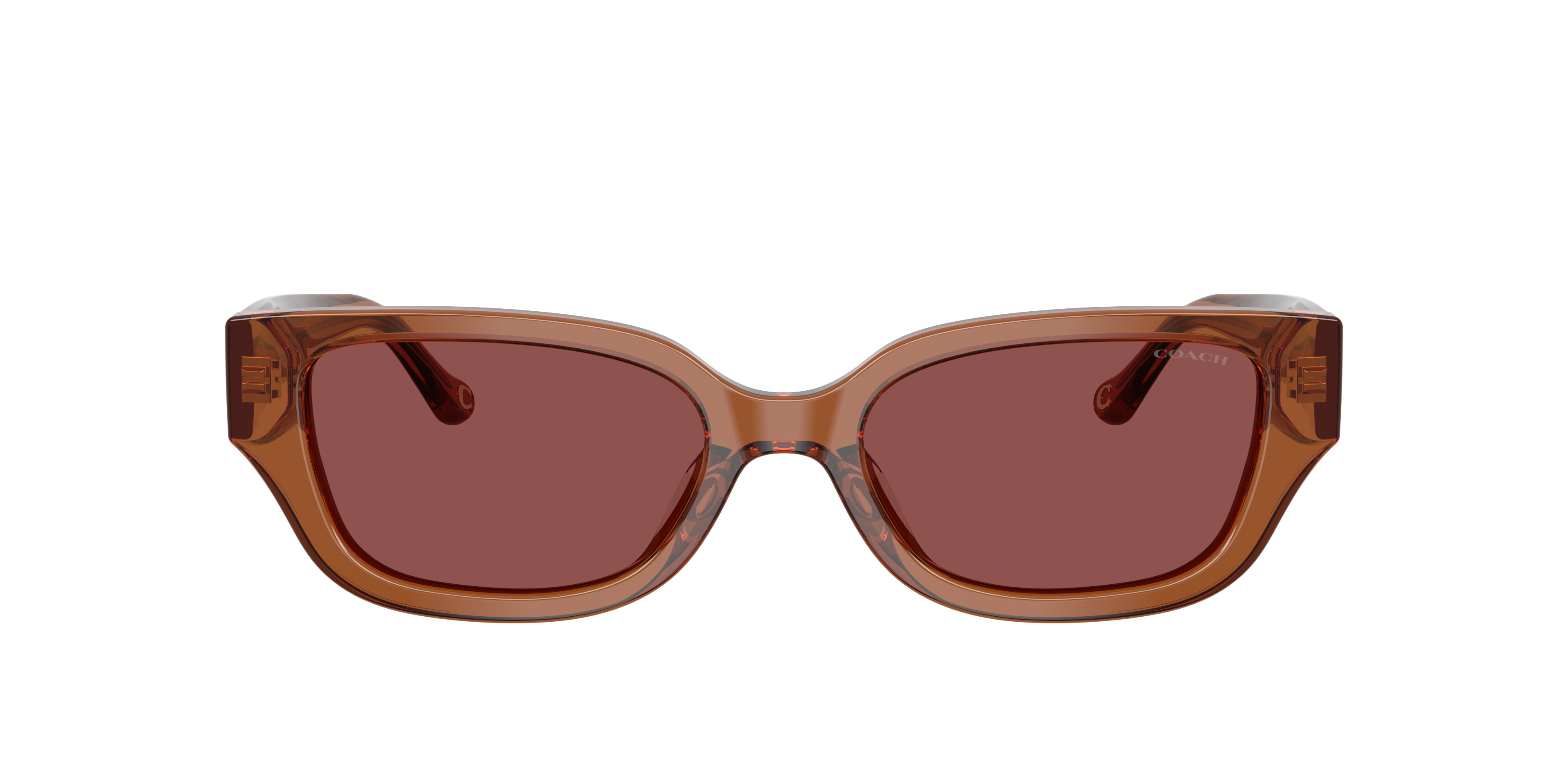 【値下げ】COACH サングラス Coach 0HC8439U Sunglasses in Brown/Tan | Target Optical
