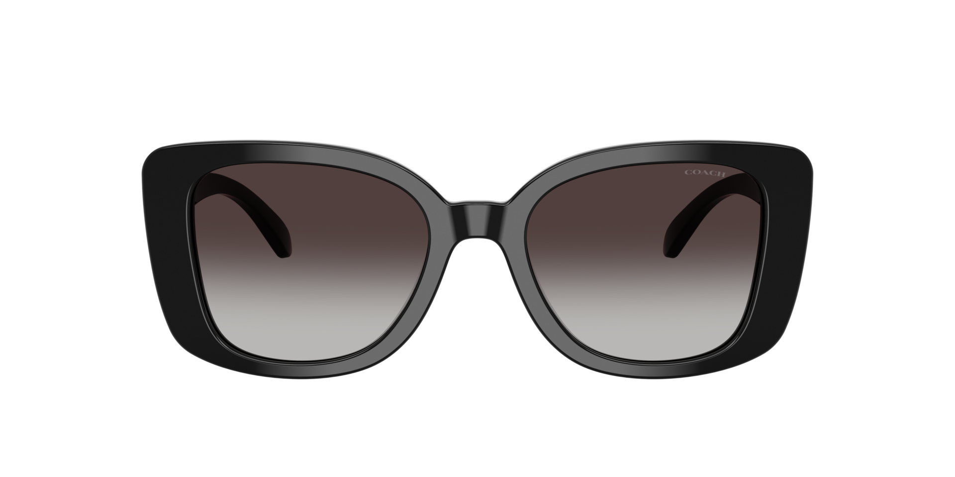 Coach Coach Sunglasses in Black | Target Optical