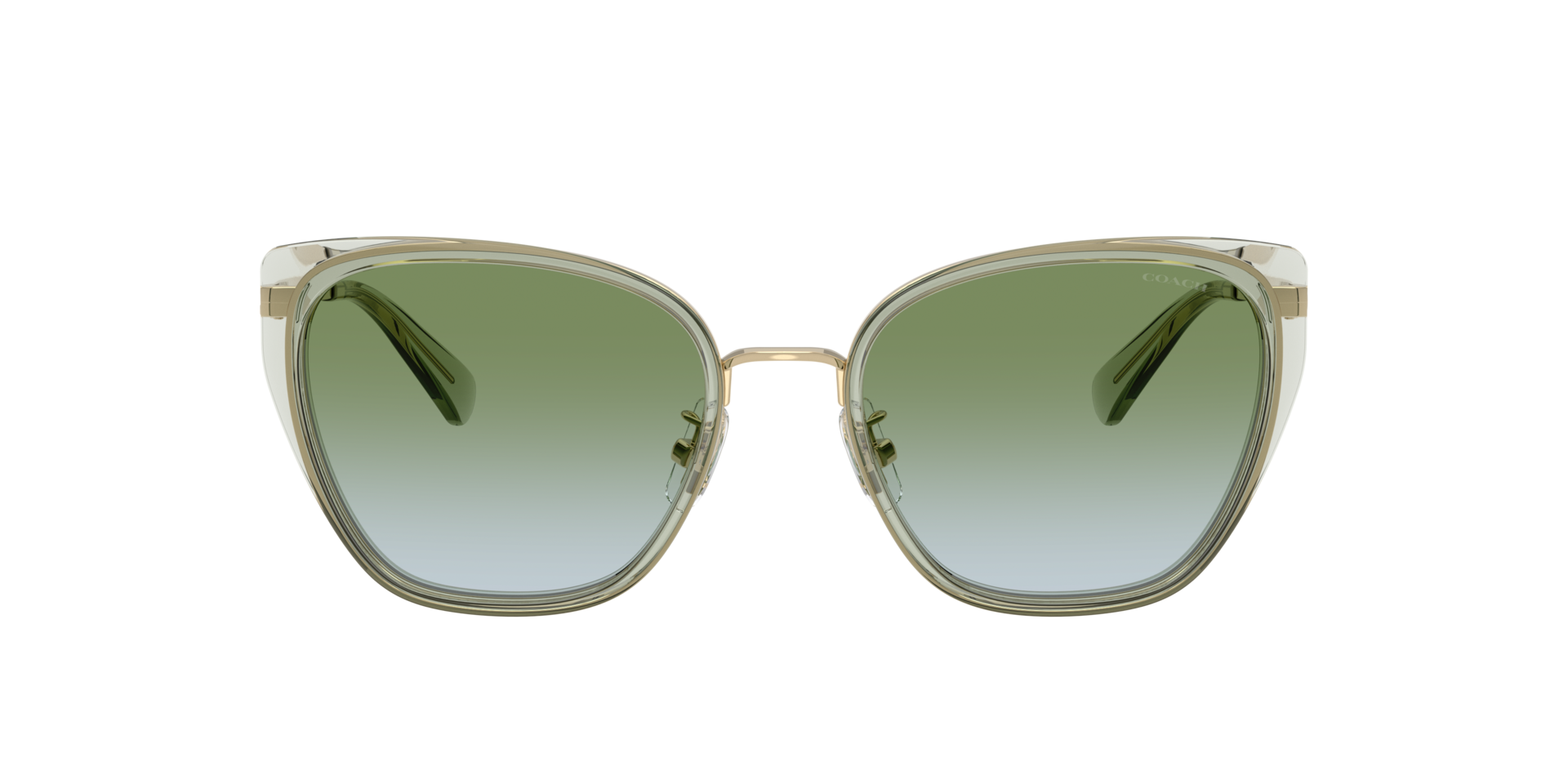 Coach 0HC7187 Sunglasses in Green | Target Optical display picture 2