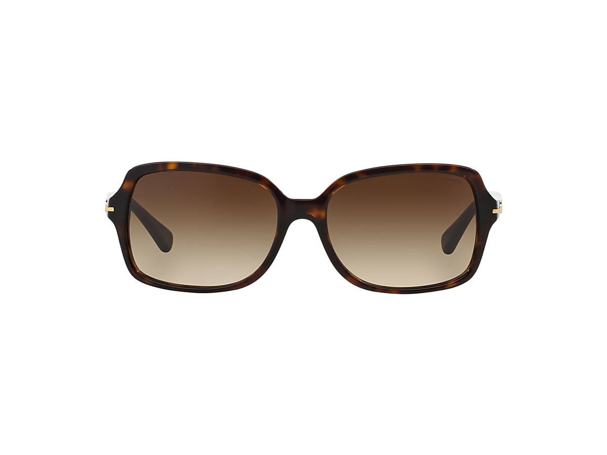小物 174.COACH SUNGLASSES DARK OLIVE Amazon.com: Coach HC8169 Sunglasses, Black/Brown Gradient