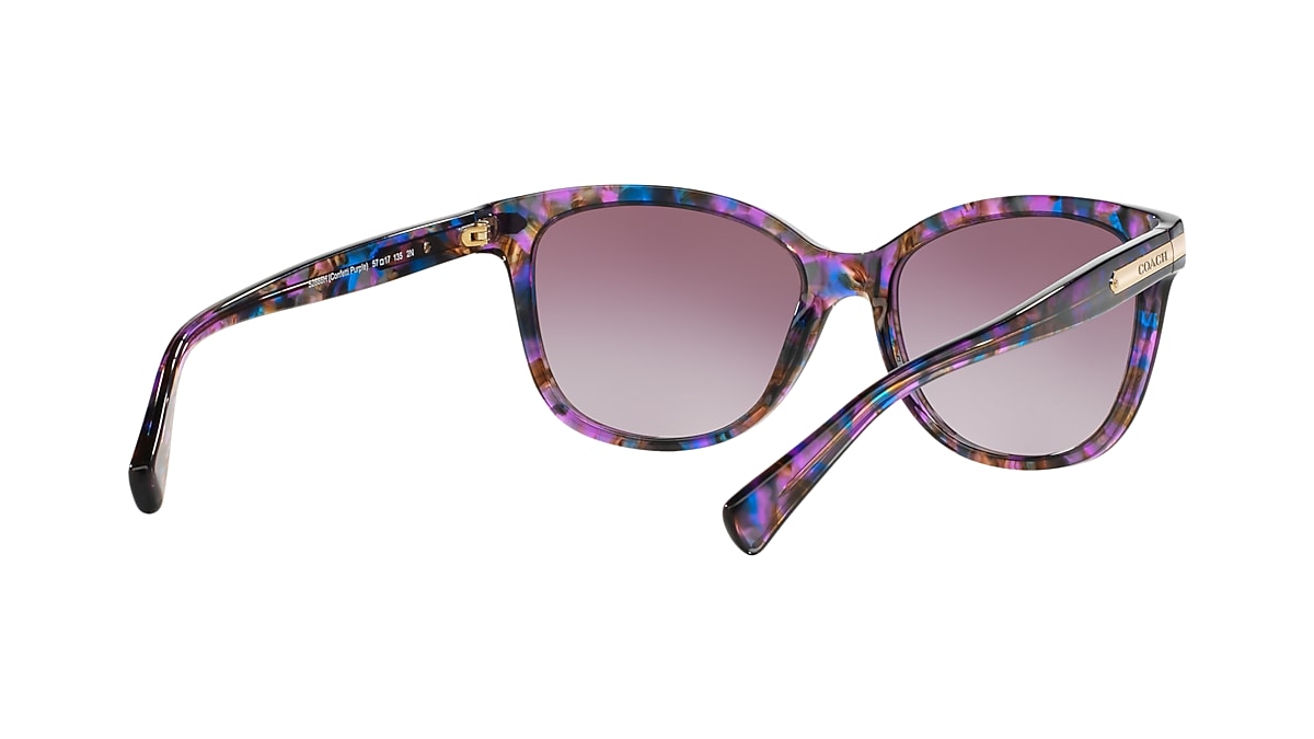 Coach 0HC8132 Sunglasses in Pink/purple | Target Optical