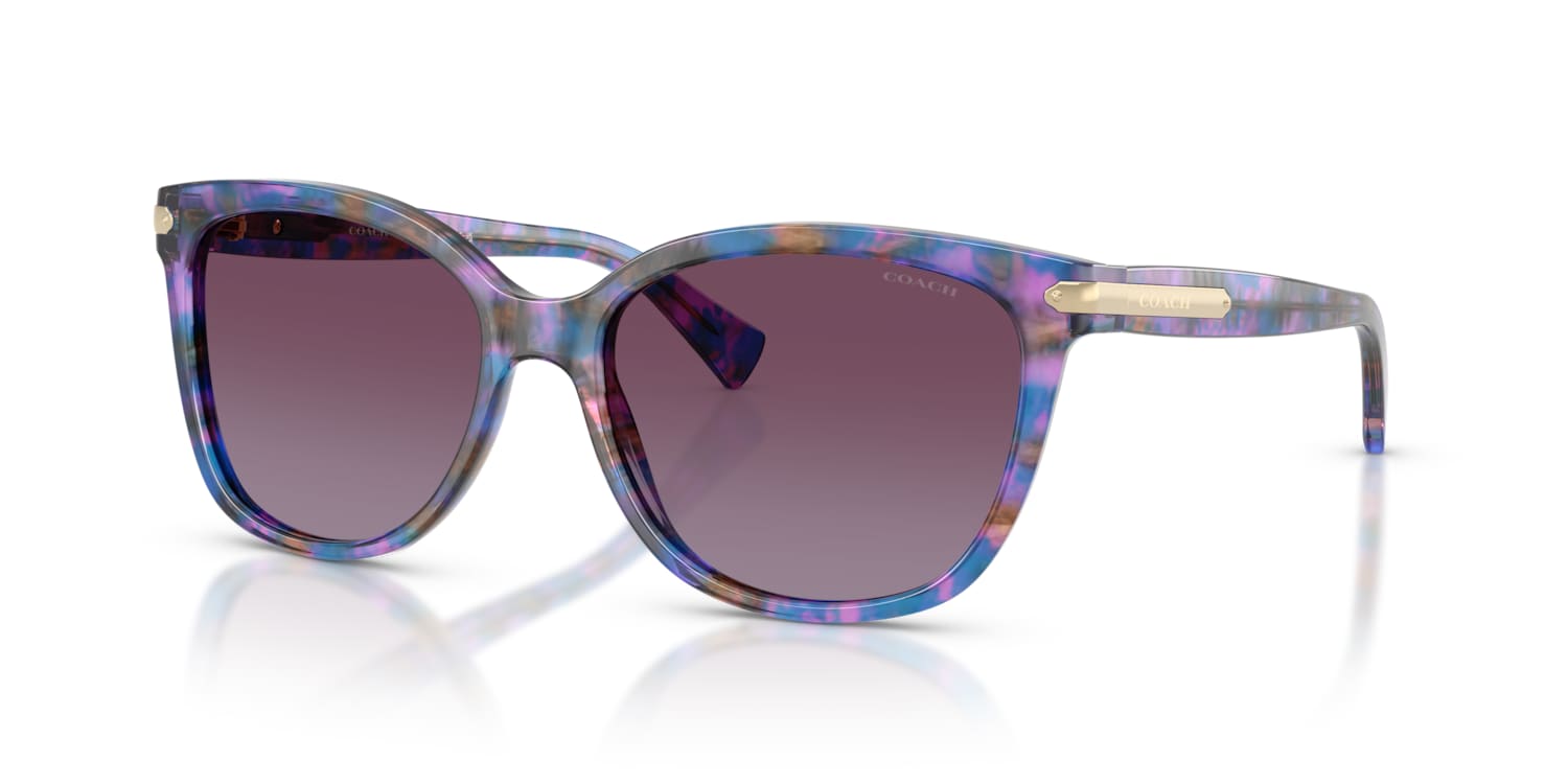 Coach 0HC8132 Sunglasses in Tortoise | Target Optical