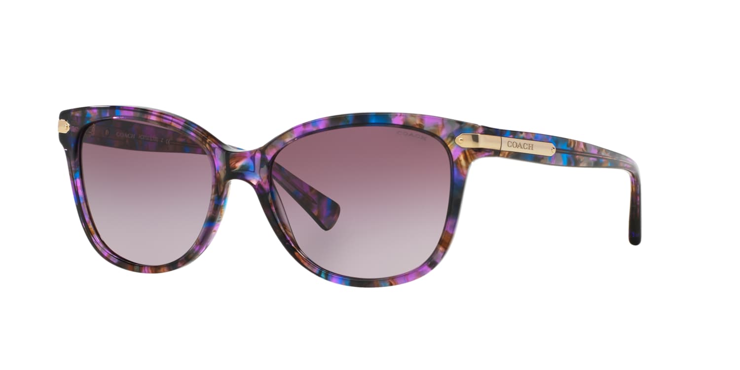 Coach 0HC8132 Sunglasses in Pink/purple | Target Optical