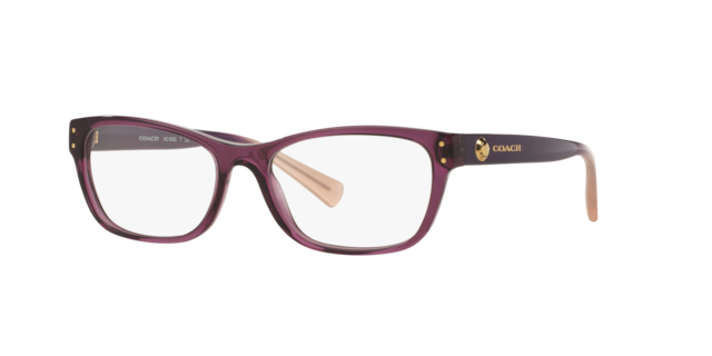 coach sunglasses target