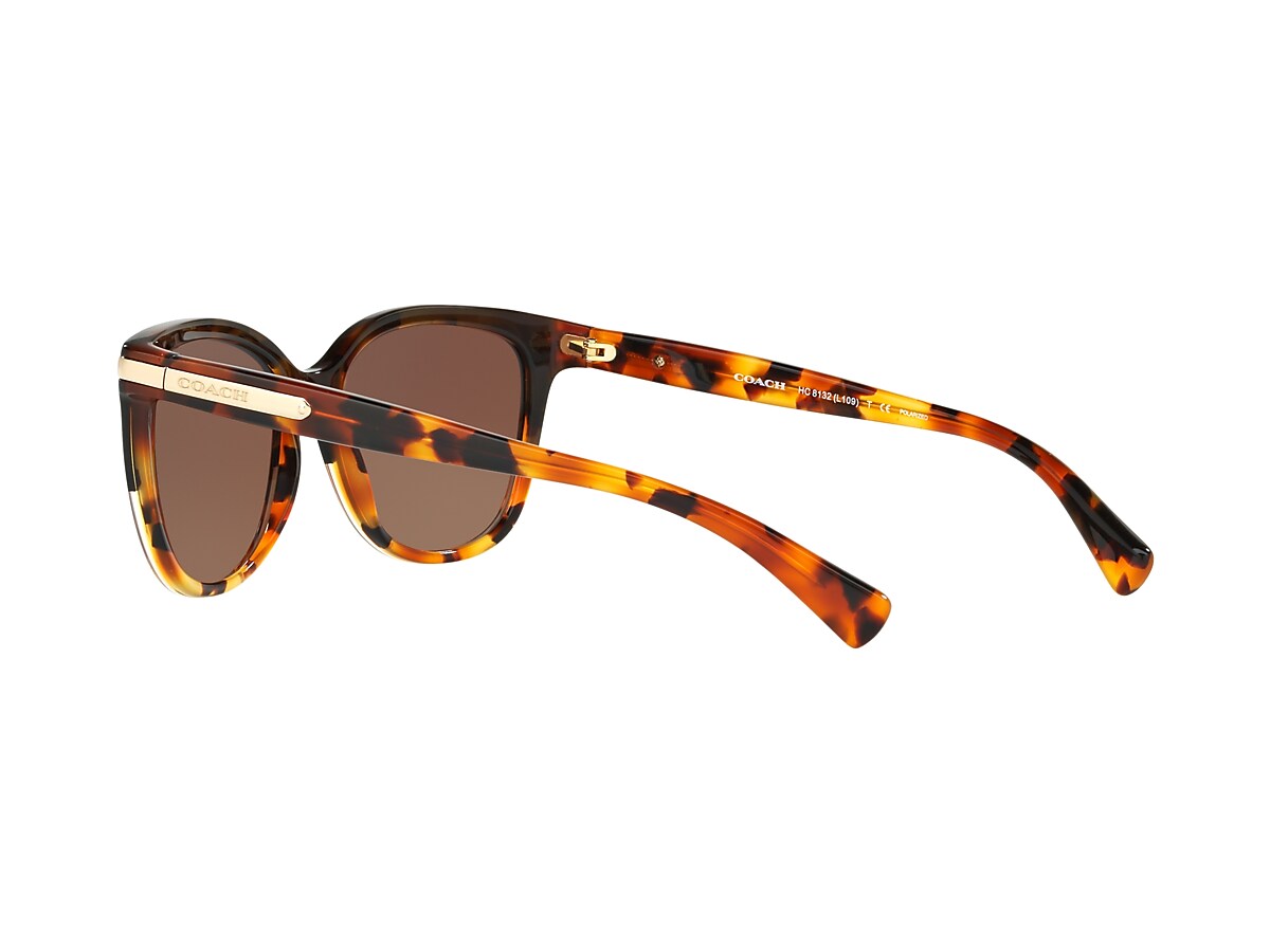 Coach best sale 8132 sunglasses