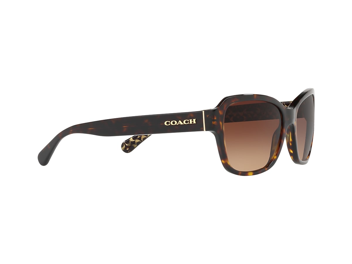 Coach sunglasses outlet hc8160